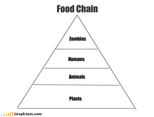 food chain images. food-chain