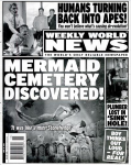 WWNmermaidcementary