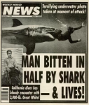 WWNsharkbite