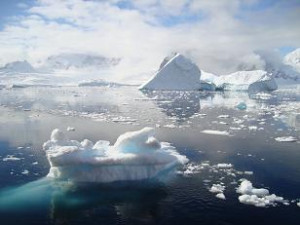 Barilari Bay