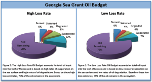 Fate of Oil in the Gulf (Sea Grant Georgia)