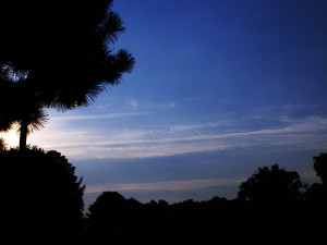 20100901_0822