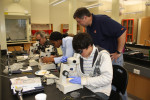 Is that a nematode?