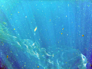 The mysterious, diaphanous egg veils
