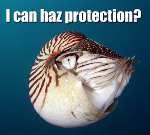 Tough luck Nautilus. Perhaps you could try being fluffier or something...