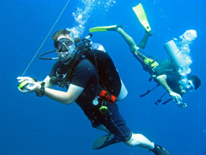 Blue water diving is fun
