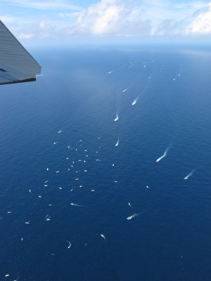 Ecotour boats flock to the afuera whale shark aggregation in Quintana Roo, Mexico. Image (c) 2012Alistair Dove/Georgia Aquarium