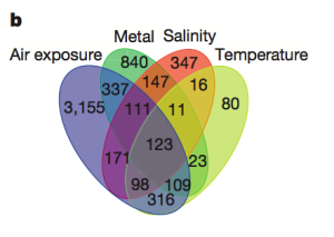 Venn diagram of common and unique genes expressed in response to temperature, salinity, air exposure and heavy-metal stress (zinc, cadmium, copper, lead and mercury), showing overlap of responses.