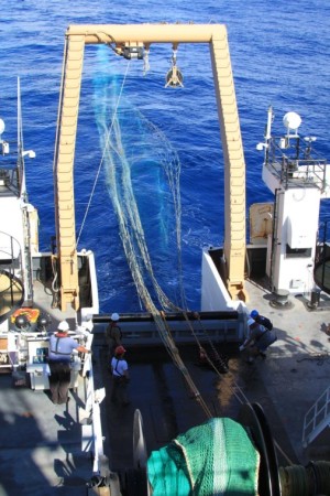 Mid-water trawl being deployed off the back of the Pisces