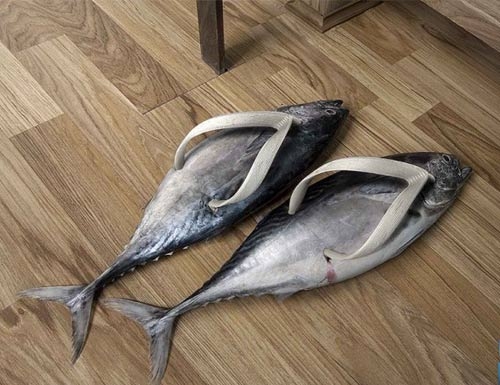 TGIF: Fish Shoes | Deep Sea News