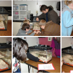 Students Experience Seafloor Spreading Thanks to Ocean Bloggers