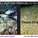 From the Editor’s Desk: Benefits of Bottom Trawling and Other Assorted Fairy Tales