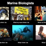 You want to be a marine biologist?