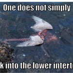 TGIF: One does not simply walk into the lower intertidal