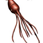 How Big Is A Colossal Squid Really?