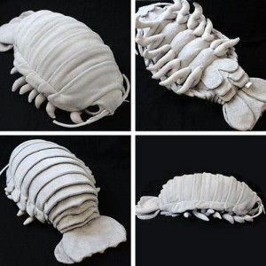 Win A Giant Plush Giant Isopod! | Deep Sea News
